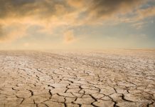 Research: Climate change may cut soil’s ability to absorb water —