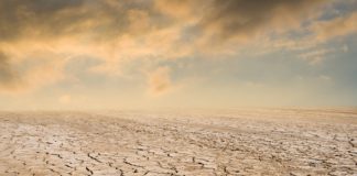 Research: Climate change may cut soil’s ability to absorb water —