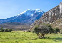 Research: Why is Earth so biologically diverse? Mountains hold the answer