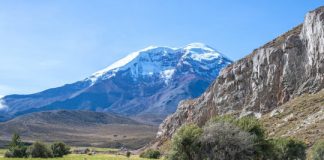 Research: Why is Earth so biologically diverse? Mountains hold the answer