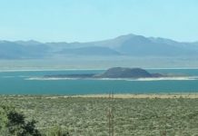 Research: Eight species of nematode discovered in the lake’s harsh conditions —