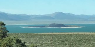 Research: Eight species of nematode discovered in the lake’s harsh conditions —