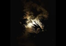 Friday the 13th Harvest Moon shines over Canada (Pictures) Friday the 13th Harvest Moon shines over Canada (Pictures)