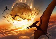 Researchers Find Direct Evidence of ‘Day One’ of Dinosaurs’ Extinction Researchers Find Direct Evidence of 'Day One' of Dinosaurs' Extinction