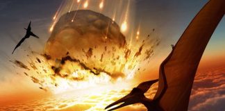 Researchers Find Direct Evidence of ‘Day One’ of Dinosaurs’ Extinction Researchers Find Direct Evidence of 'Day One' of Dinosaurs' Extinction