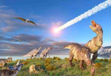 Researchers May Have Discovered What Caused One Of The Planet’s Worst Extinctions Researchers May Have Discovered What Caused One Of The Planet's Worst Extinctions