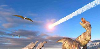 Researchers May Have Discovered What Caused One Of The Planet’s Worst Extinctions Researchers May Have Discovered What Caused One Of The Planet's Worst Extinctions