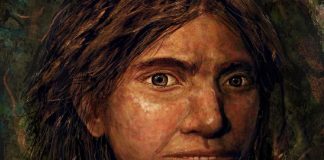 Researchers Recreate Skull of Mysterious Neanderthal Cousin Researchers Recreate Skull of Mysterious Neanderthal Cousin