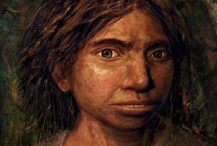 Researchers Recreate Skull of Mysterious Neanderthal Cousin