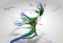 Study: How embryo develops at molecular level decoded Study: How embryo develops at molecular level decoded