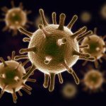 Study: Immunity boost from ancient DNA Study: Immunity boost from ancient DNA