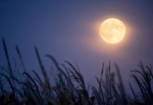 Very rare Harvest ‘Micromoon’ rises on Friday the 13th Very rare Harvest ‘Micromoon’ rises on Friday the 13th