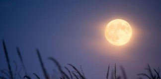 Very rare Harvest ‘Micromoon’ rises on Friday the 13th Very rare Harvest ‘Micromoon’ rises on Friday the 13th