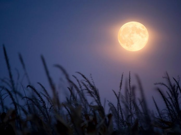 Very rare Harvest ‘Micromoon’ rises on Friday the 13th