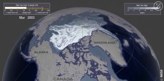 Watch: NASA Visualization Shows Decline of Arctic Sea Ice Over the Past 35 Years Watch: NASA Visualization Shows Decline of Arctic Sea Ice Over the Past 35 Years