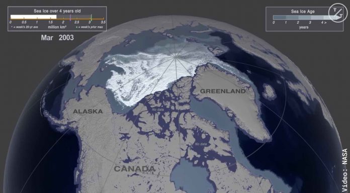 Watch: NASA Visualization Shows Decline of Arctic Sea Ice Over the Past 35 Years