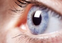 Research: Molecular basis of vision revealed —