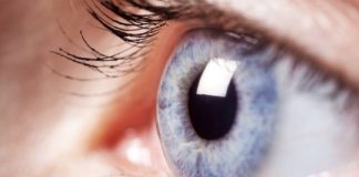 Research: Molecular basis of vision revealed —