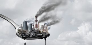 Research: Environmental toxins impair immune system over multiple generations —