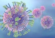 Research: The findings could lead to a universal flu vaccine and more effective emergency treatments —