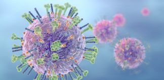 Research: The findings could lead to a universal flu vaccine and more effective emergency treatments —