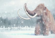 Research: Did an extraterrestrial impact trigger the extinction of ice-age animals?