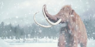 Research: Did an extraterrestrial impact trigger the extinction of ice-age animals?