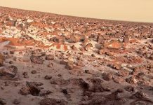 Former NASA researcher says they found life on Mars in the 1970s Former NASA researcher says they found life on Mars in the 1970s