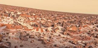 Former NASA researcher says they found life on Mars in the 1970s Former NASA researcher says they found life on Mars in the 1970s