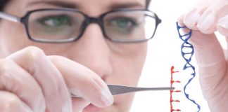 Researchers Create New, More Powerful Technique To Edit Genes Researchers Create New, More Powerful Technique To Edit Genes