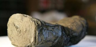 Researchers harness powerful light beams to decipher scrolls Researchers harness powerful light beams to decipher scrolls