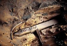 Scientists Make Bold Claim About Human Origins Scientists Make Bold Claim About Human Origins