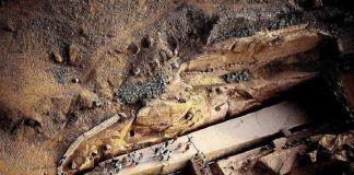 Scientists Make Bold Claim About Human Origins Scientists Make Bold Claim About Human Origins