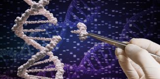 Scientists retract paper that suggested Chinese CRISPR twins might die early Scientists retract paper that suggested Chinese CRISPR twins might die early