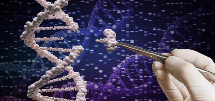 Scientists retract paper that suggested Chinese CRISPR twins might die early