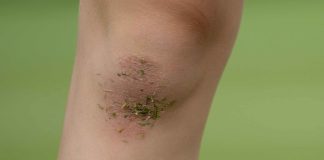 Study: Humans have ability to regrow cartilage Study: Humans have ability to regrow cartilage