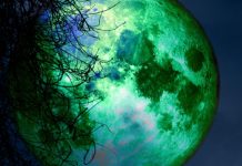 Vancouver: A Full Beaver Moon Is Coming in November Vancouver: A Full Beaver Moon Is Coming in November