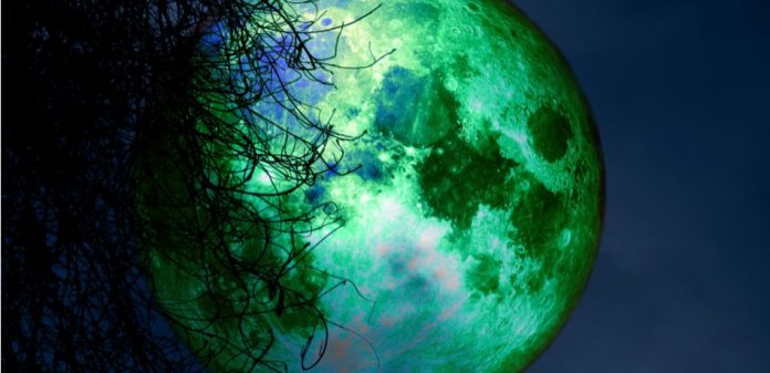Vancouver: A Full Beaver Moon Is Coming in November