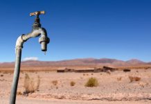 Research: Plants will demand more water in the future making less water available for people —