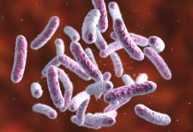 Tech: Novel process discovered — (Report)