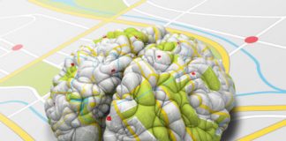 Study: Specific neurons that map memories now identified in the human brain — (Details)