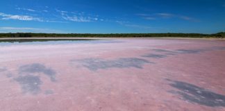 Research: Bacteria may contribute more to climate change as planet heats up —