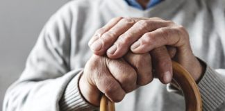 Research: Could cytotoxic T-cells be a key to longevity? —