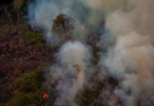 Research: Amazon deforestation and number of fires show summer of 2019 not a ‘normal’ year —