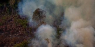 Research: Amazon deforestation and number of fires show summer of 2019 not a ‘normal’ year —