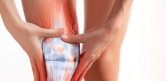 Research: Discovery of tendon stem cells could be a game-changer when it comes to treating tendon injuries, avoiding surgery —