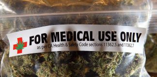 Cannabis shows potential for treating PTSD, new research suggests Cannabis shows potential for treating PTSD, new research suggests