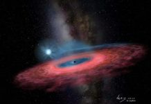 Chinese scientists discover unpredicted stellar black hole Chinese scientists discover unpredicted stellar black hole
