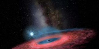Chinese scientists discover unpredicted stellar black hole Chinese scientists discover unpredicted stellar black hole