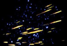 Report: Exceptional meteor shower November 21-22 Report: Exceptional meteor shower November 21-22